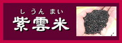 紫雲米